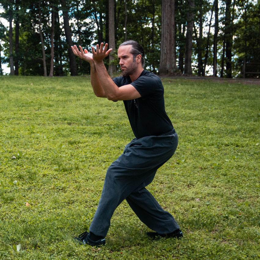 A Ba Gua Zhang posture practiced outdoors