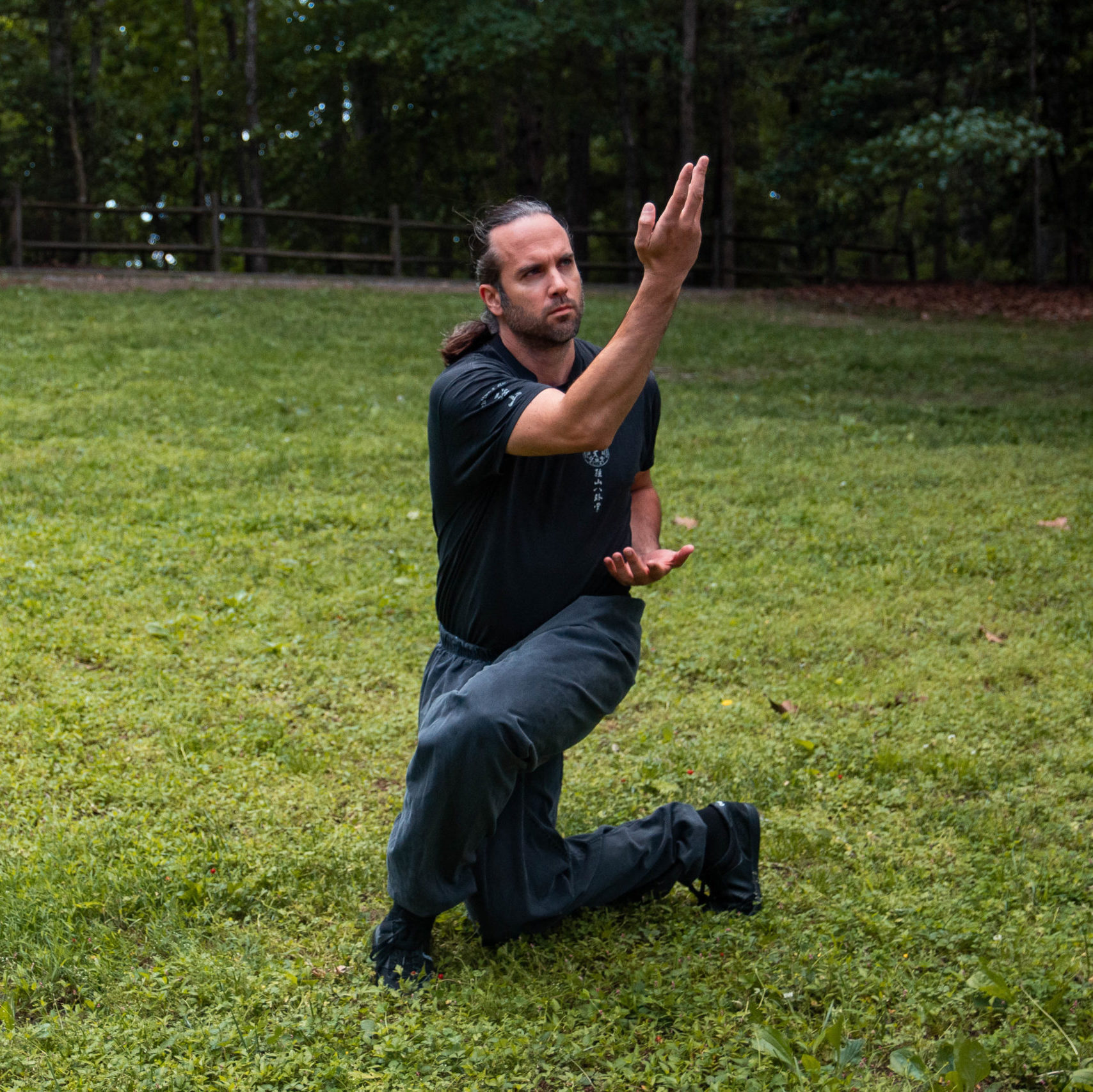 Shifu Eric Lawman in a low coiling stance